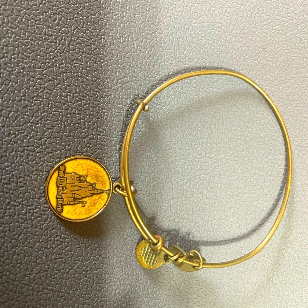 Alex and Ani Adjustable bangle, Disney Magic Kingdom Castle.